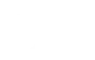 Logo Odoo – system ERP/CRM do integracji e-commerce