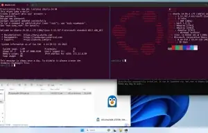 Konfiguracja systemu Windows / Linux